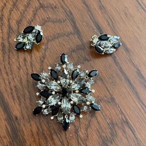Exquisite Black and Silver Brooch Set